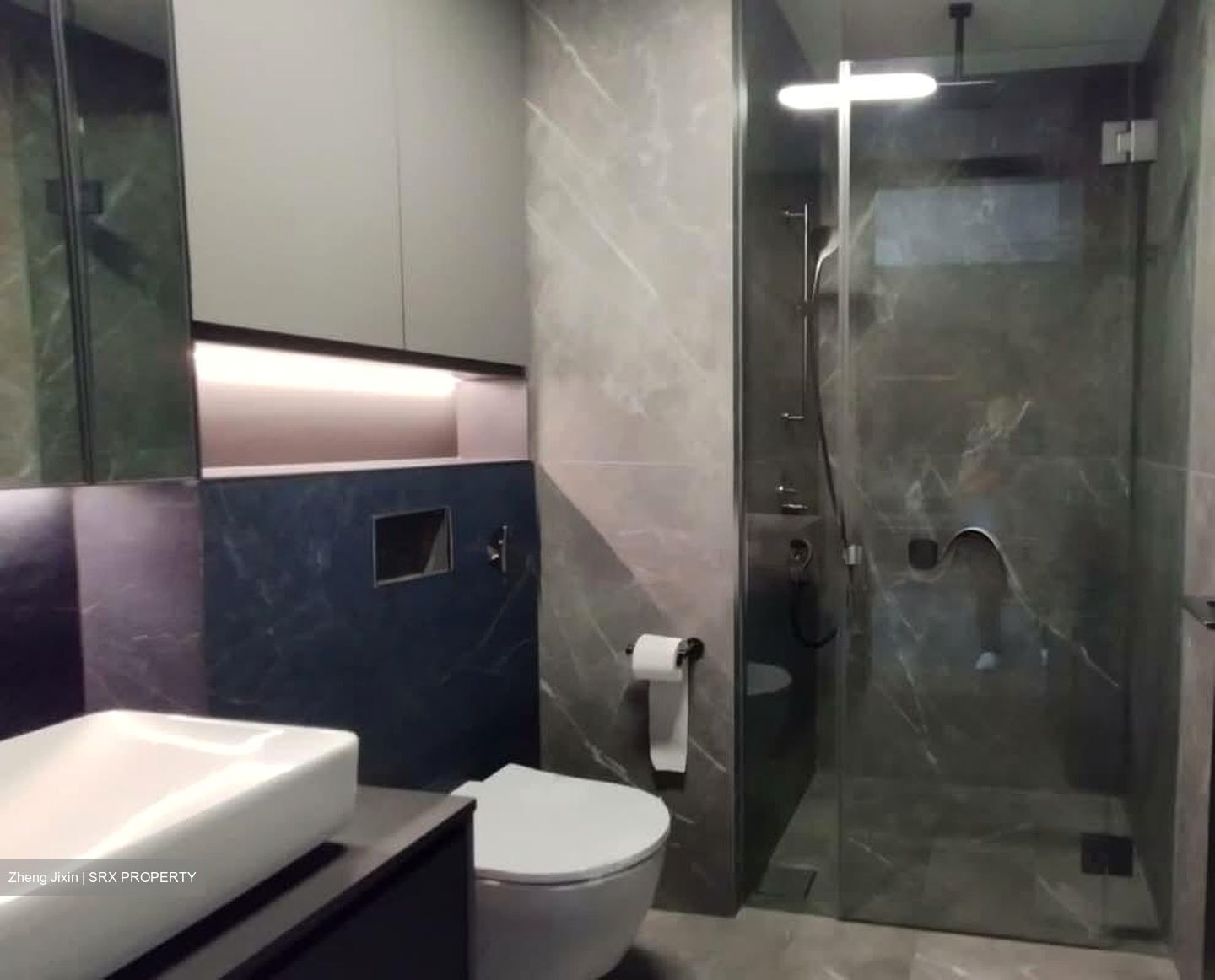 Irwell Hill Residences (D9), Apartment #557086241